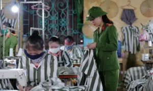 Tiền từ kết quả lao động của phạm nhân được phân bổ thế nào?