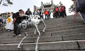 Robot chó leo bậc thang để dọn rác trên núi