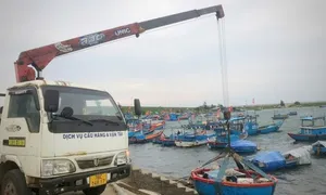 Đảo Lý Sơn cấp tập ứng phó bão Trà Mi